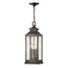 Hinkley H1182BLB Blackened Brass Outdoor Hanging Lantern