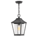 Hinkley H1212MB Museum Black Outdoor Hanging Lantern