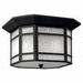 Hinkley H1273VK Vintage Black Outdoor Ceiling Mounted Light