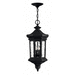 Hinkley H1602MB Museum Black Outdoor Hanging Lantern