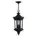 Hinkley H1602MBLL Museum Black Outdoor Hanging Lantern