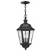 Hinkley H1672BK Black Outdoor Hanging Lantern