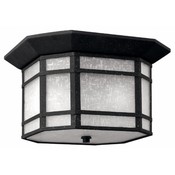 Hinkley Ceiling Mounted Lighting