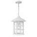 Hinkley H1802CWGU24 Classic White Outdoor Hanging Lantern