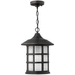 Hinkley H1802OPGU24 Olde Penny Outdoor Hanging Lantern