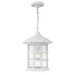 Hinkley H1862TW Textured White Outdoor Hanging Lantern