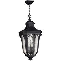  Trafalgar Hanging Hanging Lantern - Museum Black
