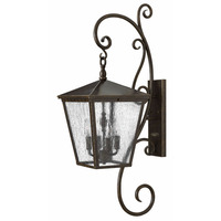  Trellis Entrance Outdoor Wall Light - Regency Bronze