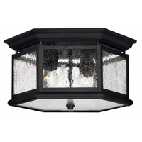 Ceiling Mounted Light 13" Width