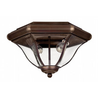 Ceiling Mounted Light 15-3/4" Width