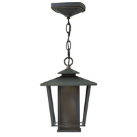  Theo Hanging Hanging Lantern - Oil Rubbed Bronze