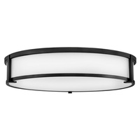  Lowell Flush Mount Ceiling Light - Black