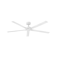 Oversize Ceiling Fan 60" Width