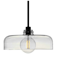 Down Light Pendant 15" Width Down Light Pendant 15" Width