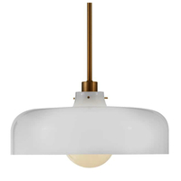 Down Light Pendant 15" Width Down Light Pendant 15" Width