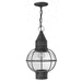 Hinkley H2202DZ Aged Zinc Outdoor Hanging Lantern