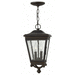 Hinkley H2462OZ Oil Rubbed Bronze Outdoor Hanging Lantern