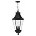 Hinkley H2502BK Black Outdoor Hanging Lantern