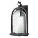 Hinkley H2618DZLED Aged Zinc Outdoor Entrance Wall Light