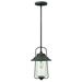 Hinkley H2862OZ Oil Rubbed Bronze Outdoor Hanging Lantern