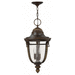 Hinkley H2902RBGU24 Regency Bronze Outdoor Hanging Lantern