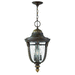 Hinkley H2902RB Regency Bronze Outdoor Hanging Lantern