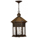 Hinkley H2992SN Sienna Outdoor Hanging Lantern