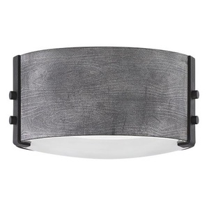 H29201DZLL Sawyer Ceiling Ceiling Mounted - Aged Zinc