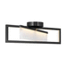 Hinkley H32503BLK Black Flush Mount Ceiling Light