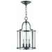 Hinkley H3474PW Pewter Entrance / Foyer Pendant