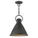 Hinkley H3557DZ Aged Zinc Down Light Pendant