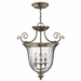 Hinkley H3613PW Pewter Entrance / Foyer Pendant