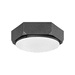 Hinkley H4583BGR Brushed Graphite Flush Mount Ceiling Light