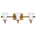 Hinkley H5833BR Brushed Bronze 3 Bulb Bathroom Light