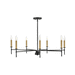 Hinkley H83077BK Black Large Foyer Chandelier