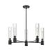 Hinkley H85405BK Black Mid Sized Chandelier