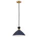 Hinkley H83257MVHB Matte Navy w/Heritage Brass accents Down Light Pendant