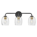 Hinkley H85013BK Black 3 Bulb Bathroom Light