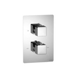 I1964101BN Serie 196 Thermostatic/Volume Control Custom Shower Valve - Brushed Nickel