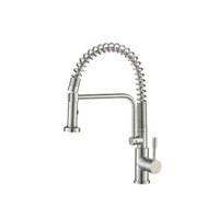 Pull-Out Spray Kitchen Faucet SIngle Hole Kitchen