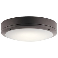 Ceiling Mounted Light 9" Width
