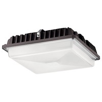 Ceiling Mounted Light 10-1/4" Width