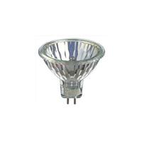  Halogen MR16 Halogen Light Bulb - Clear