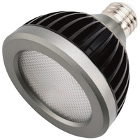  LED PAR30 LED Light Bulb - Clear