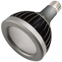  LED PAR30 LED Light Bulb - Clear