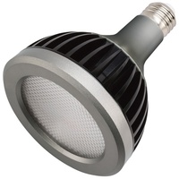 LED 13 W