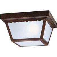 Ceiling Mounted Light 9-1/2" Width