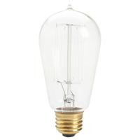  Incandescent Light Bulb - Clear