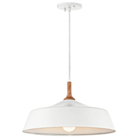  Danika Down Light Pendant Light - White