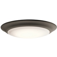 Ceiling Mounted Light 7-1/2" Width